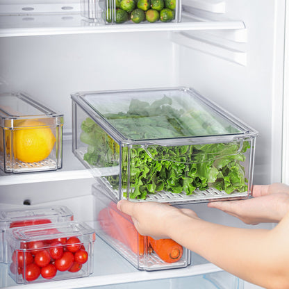 Fresh Guard Refrigerator Storage Box